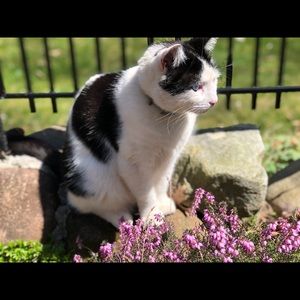 Meet your Posher, Denise